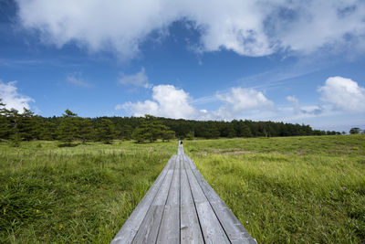 Scenic view of landscape against sky