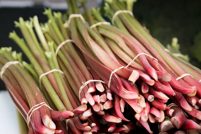 Close up of rhubarb for sale
