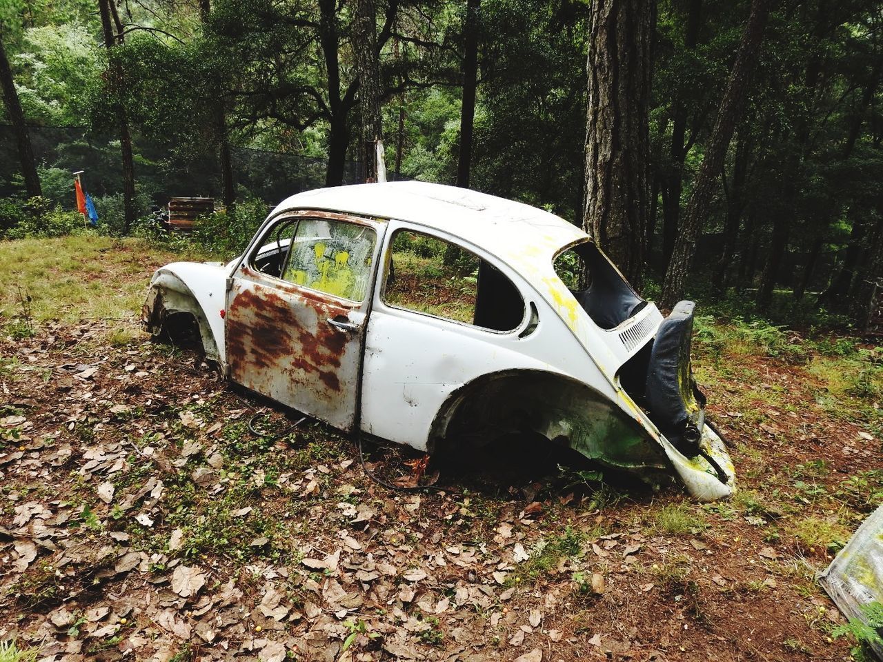 car, motor vehicle, mode of transportation, land, transportation, tree, plant, day, abandoned, land vehicle, nature, no people, field, forest, damaged, outdoors, old, tree trunk, plant part, leaf, deterioration, ruined