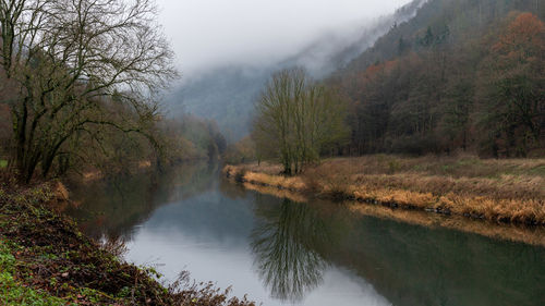 Scenic view of lake amidst trees in forest