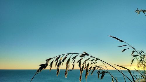 Low angle view of sea against clear blue sky