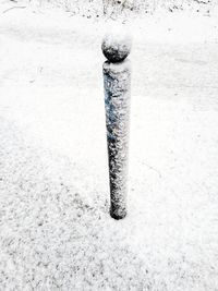 Close-up of snow covered cigarette on field