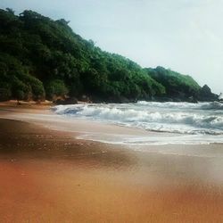 Scenic view of beach against sky