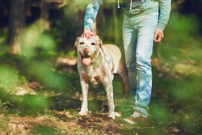 Low section of man standing by dog on field at forest