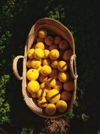 High angle view of fruits in basket