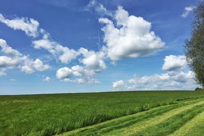 Scenic view of field against cloudy sky