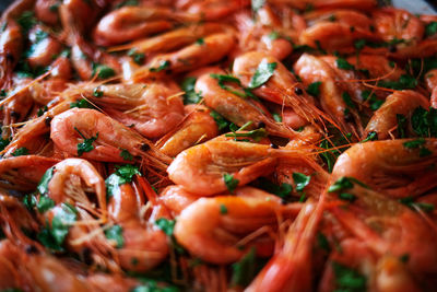 Fresh boiled prawns with coriander. a delicious dish of seafood