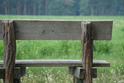 Close-up of wood on field