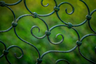 Close-up of chainlink fence