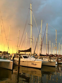 Sailboats in marina