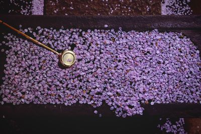 High angle view of ladle by purple flower petals floating on water