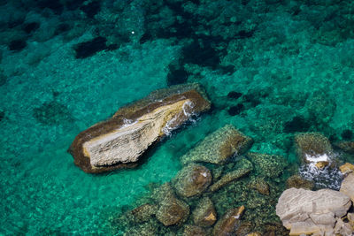 Aerial view of sea and rocks