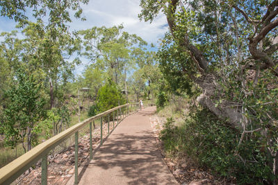 Footpath amidst trees against sky