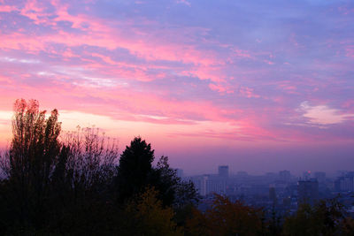 Silhouette trees and buildings against sky during sunset