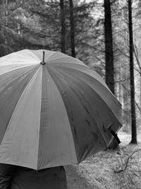 Close-up of wet umbrella on rainy day