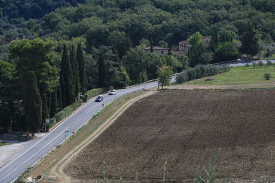 High angle view of road amidst trees