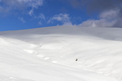 Scenic view of snowcapped mountain against sky