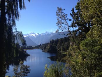 Scenic view of lake by trees against blue sky