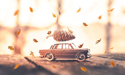 Toy car amidst leaves on wooden table