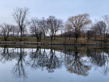 Reflection of bare trees in lake against sky