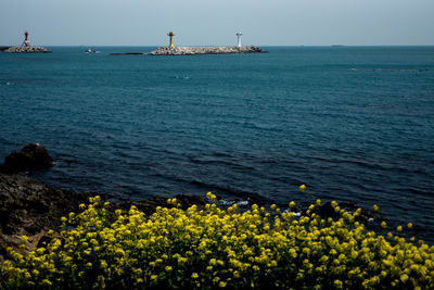 Scenic view of sea against sky