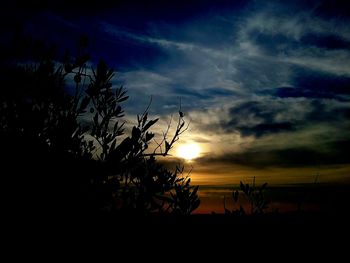 Silhouette trees on landscape against sky at sunset
