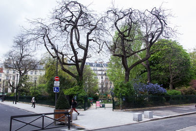 Street by trees and buildings against sky