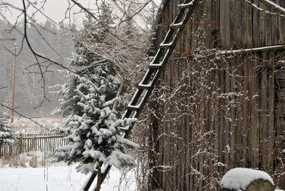 Snow covered trees in forest against sky