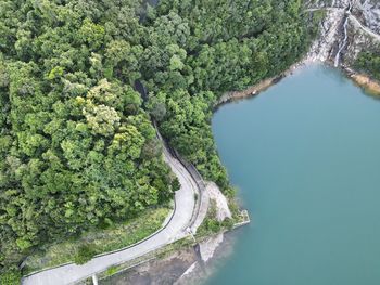 High angle view of river amidst trees
