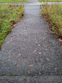 Close-up of road on field