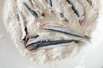 Overhead view of raw fish with flour in plate