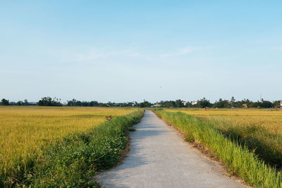 Road amidst agricultural field against sky