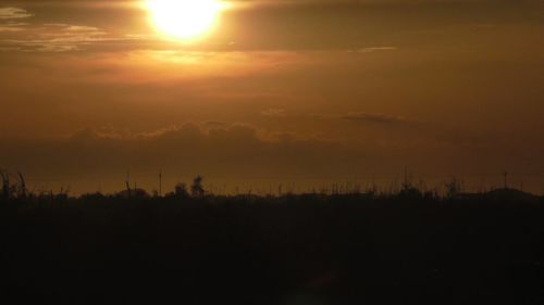 Silhouette trees on field against orange sky