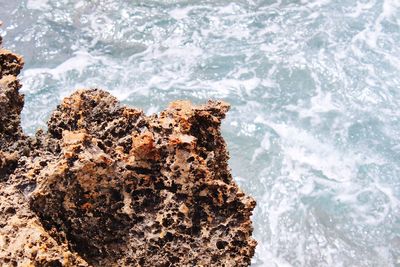 Close-up of rock in sea