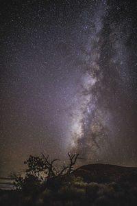 Scenic view of star field