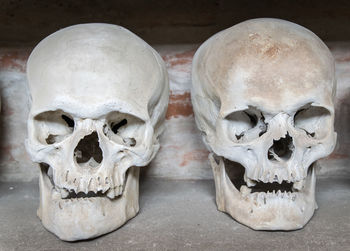 Human skulls on table