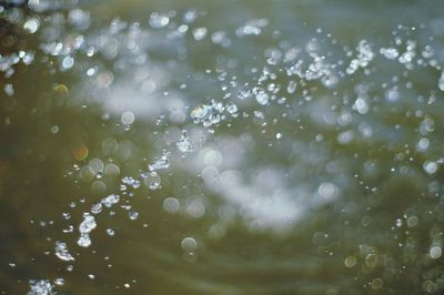 Close-up of water drops on plant