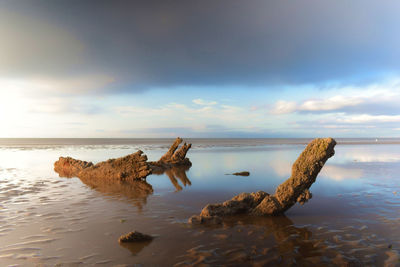 Driftwood on beach against sky