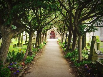 Footpath amidst trees leading towards church