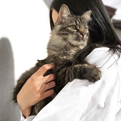 Side view of woman carrying cat while standing at home