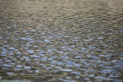 Full frame shot of rippled water