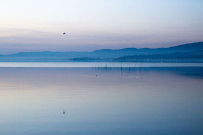 Bird flying over sea against sky