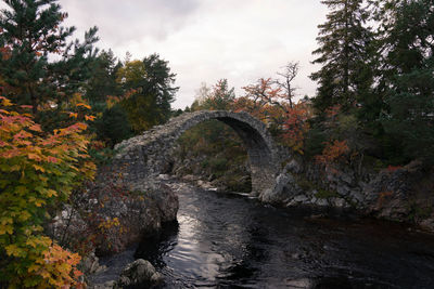 River amidst trees in forest against sky