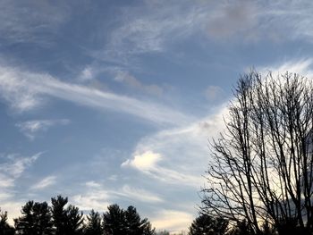 Low angle view of bare tree against sky