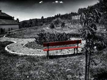 Empty benches in park