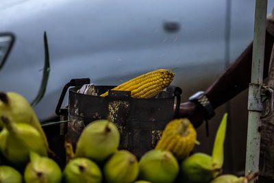 Close-up of yellow indian corn 