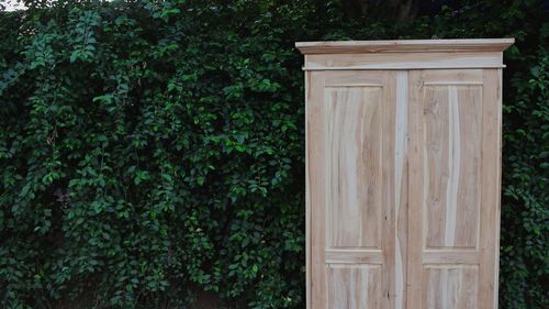 Close-up of closed wooden door on ivy wall