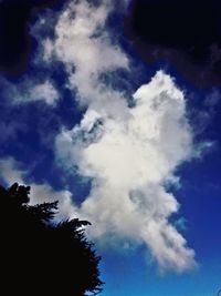 Low angle view of trees against sky