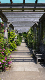 Footpath amidst flowering plants in park