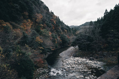 Scenic view of waterfall in forest against sky